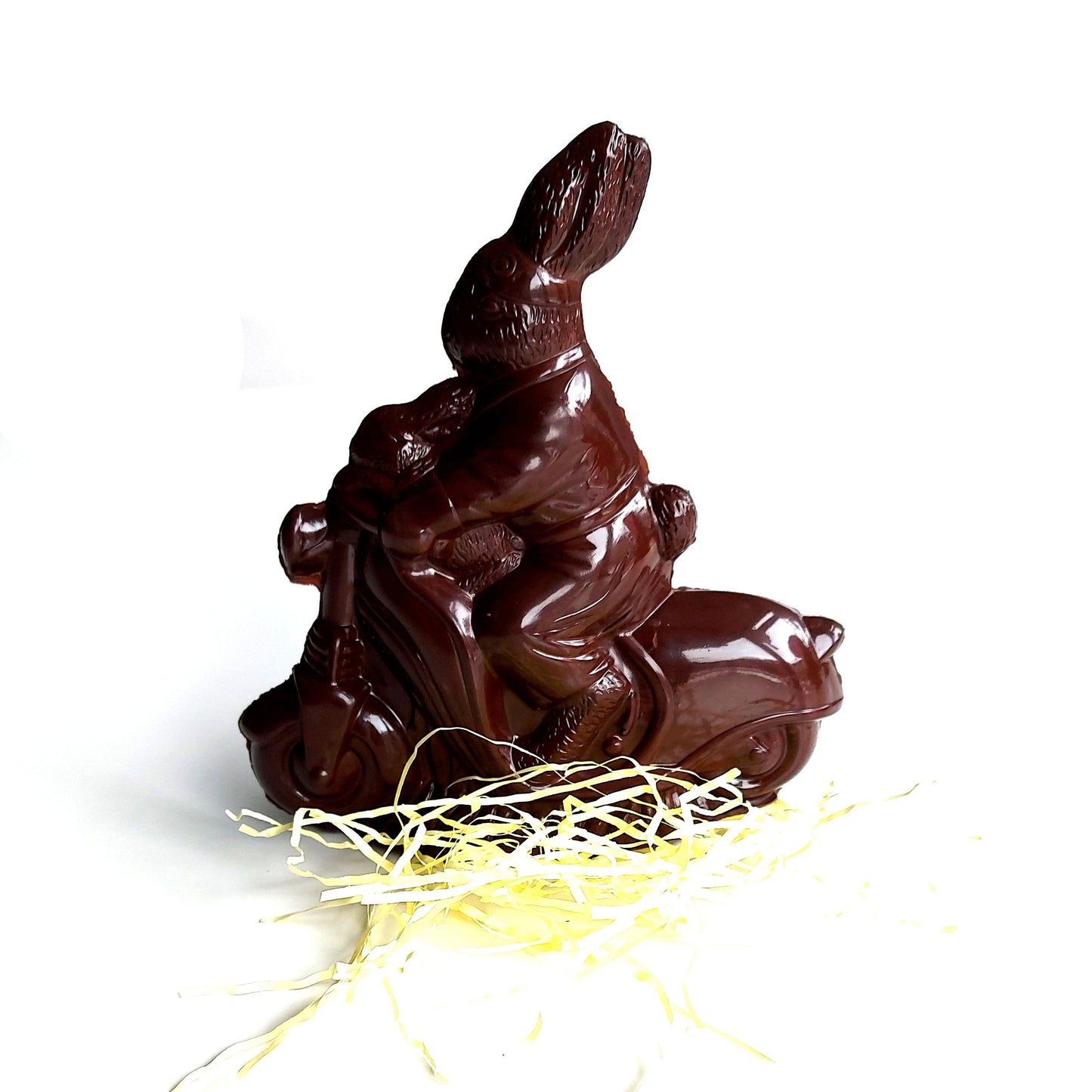 Rabbit on a motorbike